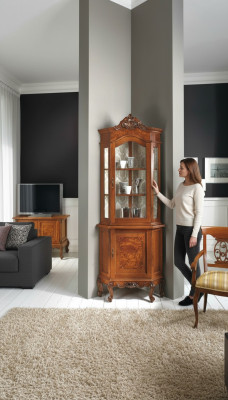 Armoires Vitrines en bois Armoire en verre Armoire en bois massif Vitrine Salon Mobilier Buffet