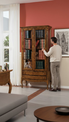 Salle de séjour Vitrine Armoire Livres Étagère Buffet Meubles classiques Étagères Bois