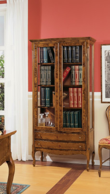 Salle de séjour Vitrine Armoire Livres Étagère Buffet Meubles classiques Étagères Bois