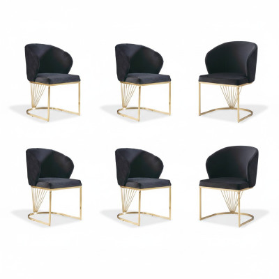 Ensemble de 6 chaises Fauteuils Fauteuil Salle à manger Suite Bois Moderne Groupe Mobilier
