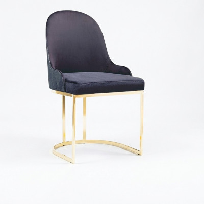 Salle à manger Chaises Bois Luxe Fauteuil Chaise Fauteuil Bleu Salon
