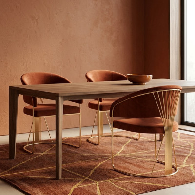Suite Cuisine Salon Salle à manger Set Chaise de designer Set 2x Chaises
