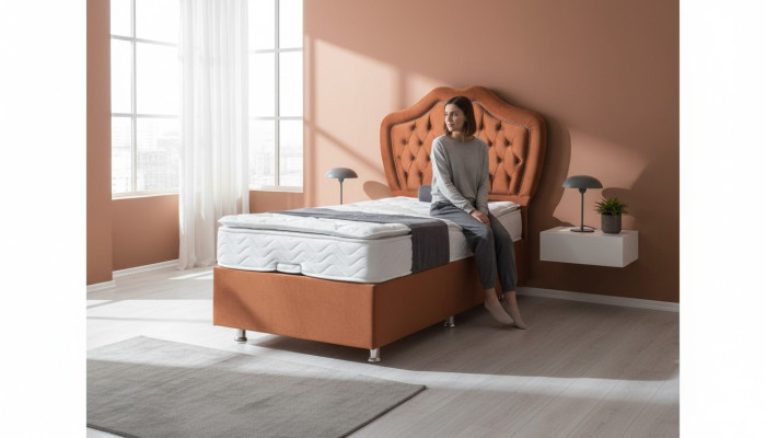 Lit marron Lit simple Sommiers Boxsprings Chambres de luxe Chesterfield