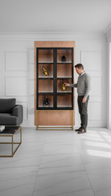 Vitrines Armoires Vitrines Armoire Bois Verre Mobilier Design Salon Vitrine en verre