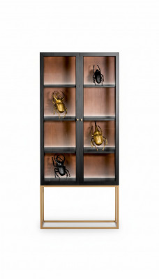 Vitrines Armoires Vitrines Armoire Bois Verre Mobilier Design Salon Vitrine en verre