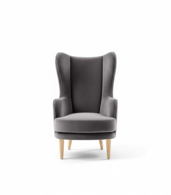 Fauteuil à ailes Fauteuil Fauteuil de club Fauteuil cocktail Siège de luxe gris Salon