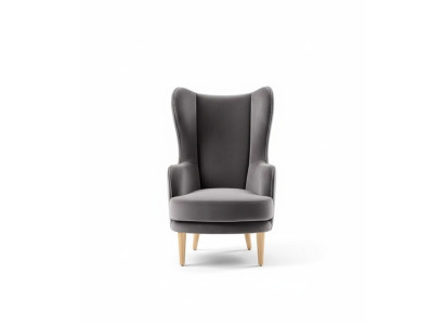 Fauteuil à ailes Fauteuil Fauteuil de club Fauteuil cocktail Siège de luxe gris Salon