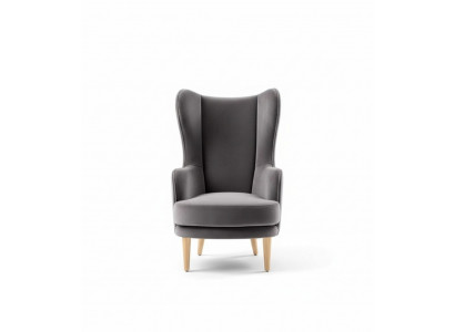Fauteuil à ailes Fauteuil Fauteuil de club Fauteuil cocktail Siège de luxe gris Salon