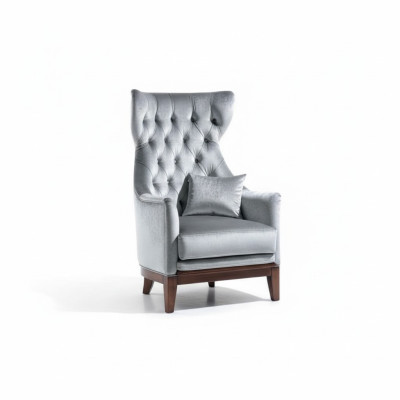 Fauteuil aile de luxe fauteuil de club fauteuil cocktail place assise salon