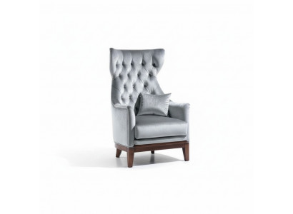 Fauteuil aile de luxe fauteuil de club fauteuil cocktail place assise salon
