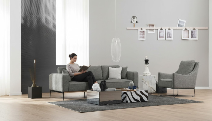 Ensemble de canapé 2 places Fauteuil 2 places Canapés en tissu design moderne gris