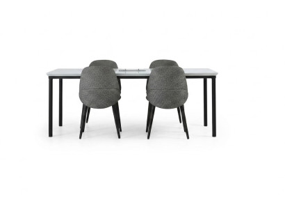 Groupe Salle à manger Table à manger Chaises Table Bois Ensemble 5 pièces Gris Design Ensemble