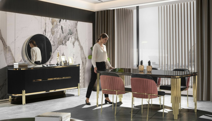 Mobilier de salle à manger moderne Ensemble de salle à manger Table à manger Chaises Mobilier en acier inoxydable noir