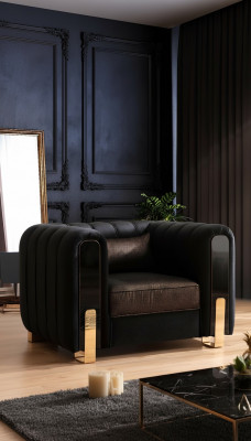 Fauteuil noir à ailes design luxueux pour salon modèle individuel moderne