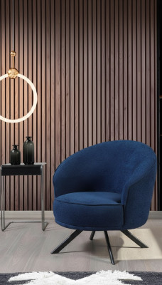 Moderne Fauteuil - meuble en acier inoxydable - fauteuil wing - meubles de salon - fauteuil 1 place