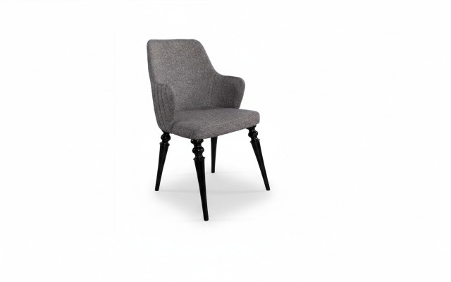 Salon Salle à manger Chaise Bois Fauteuil Meubles Fauteuil Chaise Meubles de luxe Gris