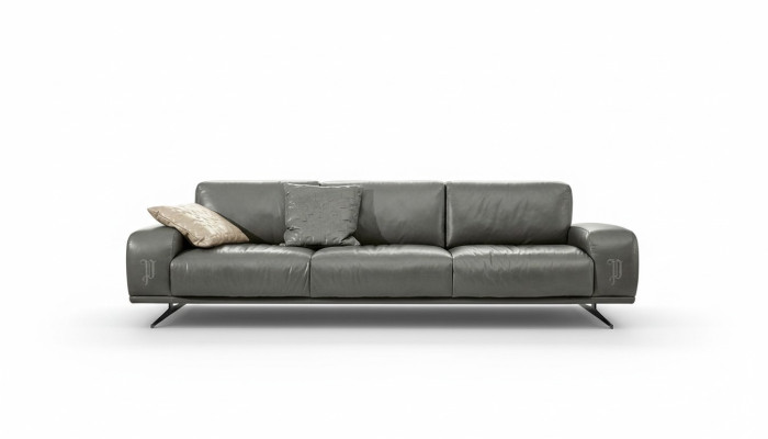 Canapé 3 places Mobilier de luxe Salon Canapé en cuir Trois places Design gris Prianera