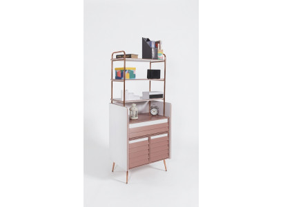 Étagère Polyvalent pour Livres, Armoire pour Chambre de Jeune, Meuble en Bois avec Étagères