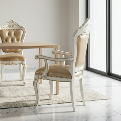 Chaise de salle à manger classique Fauteuil Fauteuil de style baroque Chaises de design