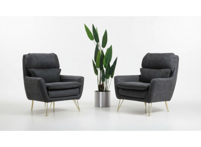Fauteuil Siège Place Conception Salon Rembourrage Luxe Noir Salle d'attente