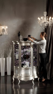 Vitrines Armoire en verre Vitrine Salon Bois Buffet de luxe Étagère nouvelle