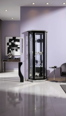Vitrine Vitrine en verre Noir Mobilier italien de luxe Vitrine Armoires Salon