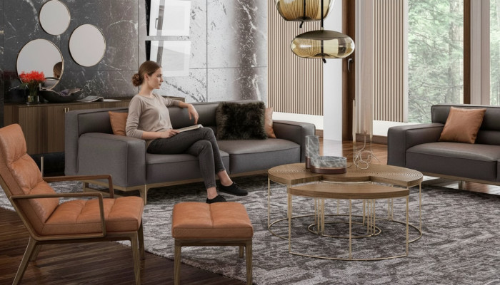 Ensemble de sièges de salon marron luxueux comprenant un fauteuil Stivloller 3 places, une chaise rembourrée.