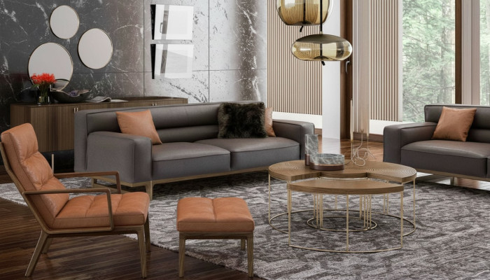 Ensemble de sièges de salon marron luxueux comprenant un fauteuil Stivloller 3 places, une chaise rembourrée.