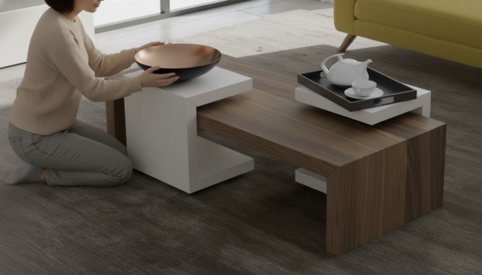 Ensemble de table basse en noyer naturel Mobilier de salon Tables d'appoint Moderne nouveau