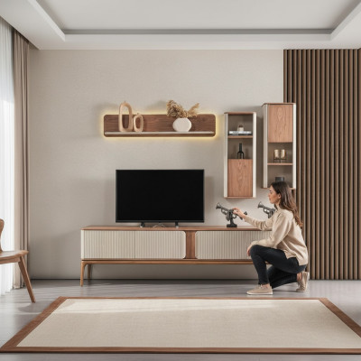 Une garde-robe de télévision chic pour votre salon dans un style moderne