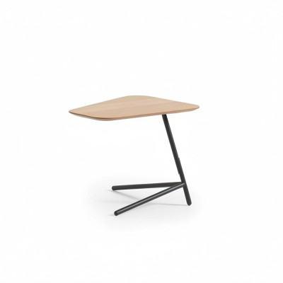 Table d'appoint de salon de luxe Matériau de mobilier moderne en bois avec métal