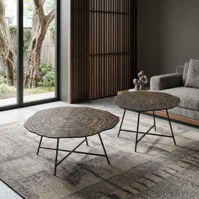 Tables basses Table basse et Tables d'appoint Design Salon Tables 2 pièces