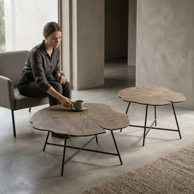Ensemble de deux tables basses luxueuses pour le salon dans un style moderne