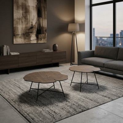 Ensemble de deux tables basses luxueuses pour le salon dans un style moderne