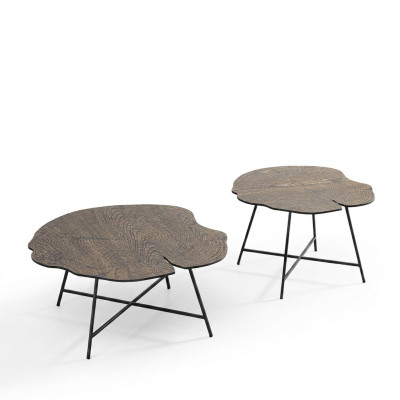 Ensemble de deux tables basses luxueuses pour le salon dans un style moderne