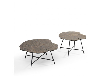 Ensemble de deux tables basses luxueuses pour le salon dans un style moderne