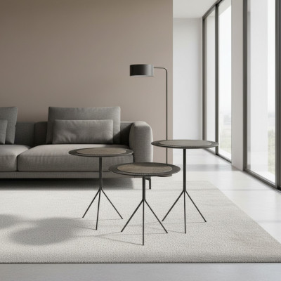 Tables basses Tables d'appoint Salon Moderne Luxe Marron 2 pièces.