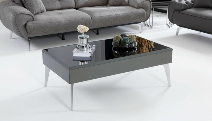 Table basse Salon Bois Meubles de luxe Modernes Couleur Grise Nouvelle