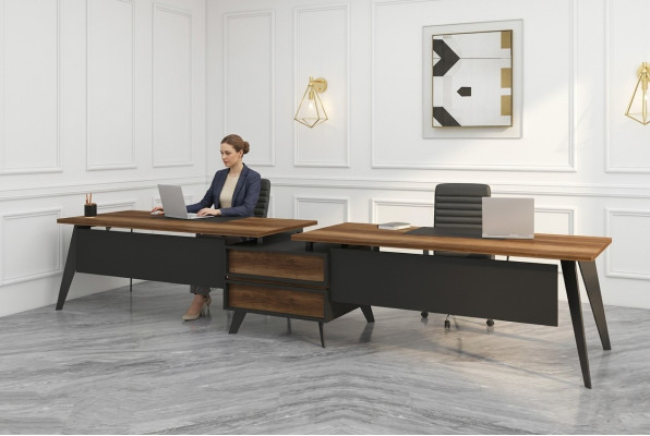 Grand bureau Bureau double Mobilier de bureau Bureaux