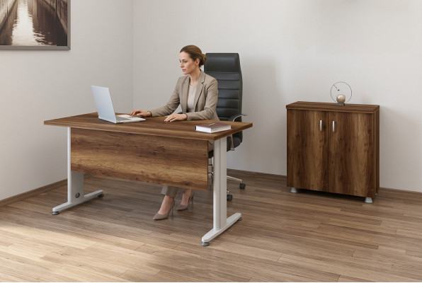 Ensemble de meubles de bureau complet Set de mobilier de bureau pour étude Armoire Bureau 2 pièces