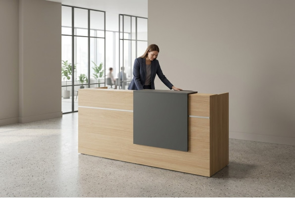 Réception Bureau Mobilier de bureau Bois Salle d'étude Moderne Nouveau Bureau
