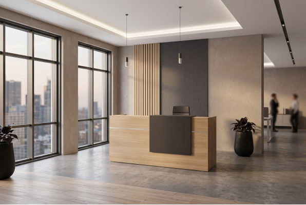 Réception Bureau Mobilier de bureau Bois Salle d'étude Moderne Nouveau Bureau
