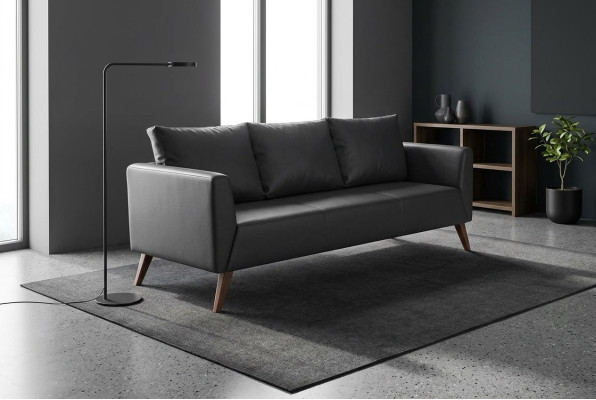 Canapé design Canapé noir Mobilier de bureau Mobilier de luxe de salle d'étude