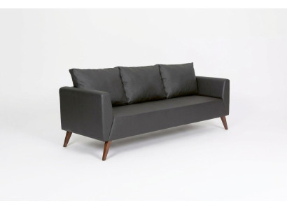 Canapé design Canapé noir Mobilier de bureau Mobilier de luxe de salle d'étude