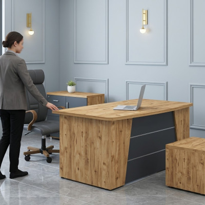 Bureau Mobilier de bureau Salle d'étude Bois Bureau informatique Table de bureau