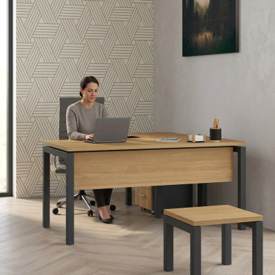 Mobilier de bureau Bureau Salle d'étude Bureau d'ordinateur Bureau de direction