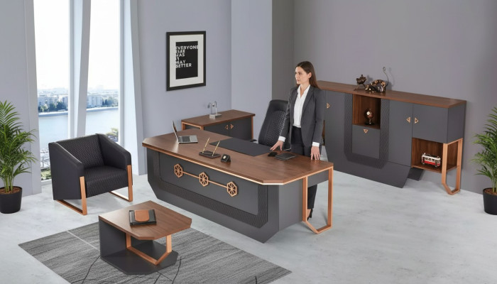 Ensemble de meubles de bureau de luxe, mobilier de salle d'étude, bureau, armoires, table basse
