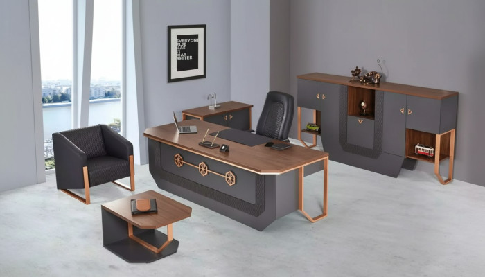 Ensemble de meubles de bureau de luxe, mobilier de salle d'étude, bureau, armoires, table basse
