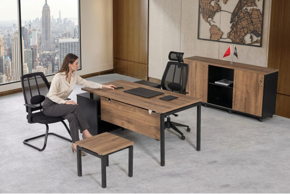 Ensemble de meubles de luxe pour la salle d'étude en couleur marron : bureau, armoire de bureau, table basse (3 pièces).