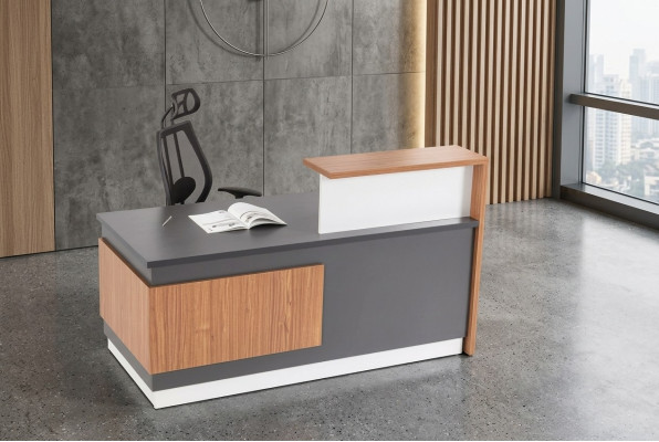 Comptoir Réception Table de réception Bureau Cabinet Disques Industrie Tables de bureau